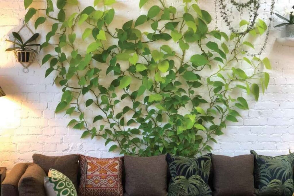 Add Cascading Plants