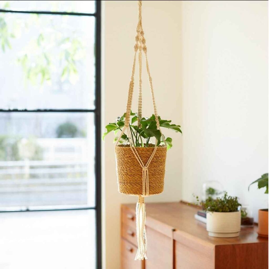 Jute Rope Plant Hanger